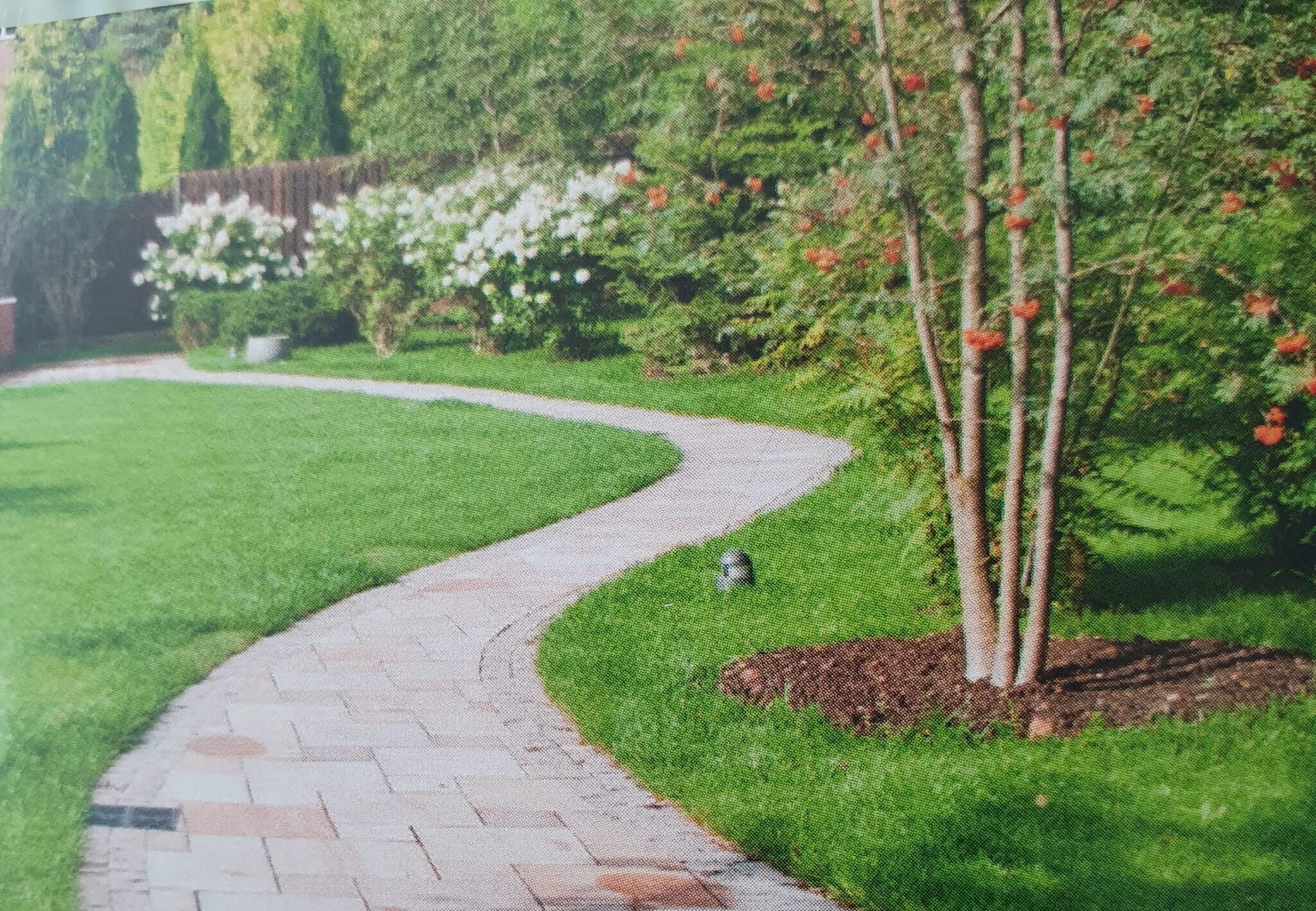 whatsapp image 2025 10 05 at 12.22.56 75b073eb