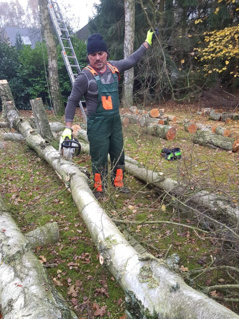 whatsapp image 2025 10 17 at 10.47.19 7a6ce40a whatsapp image 2025 10 17 at 10.47.19 7a6ce40a