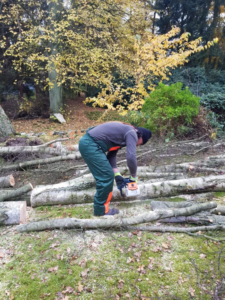 whatsapp image 2025 10 17 at 10.47.20 18a1c86c